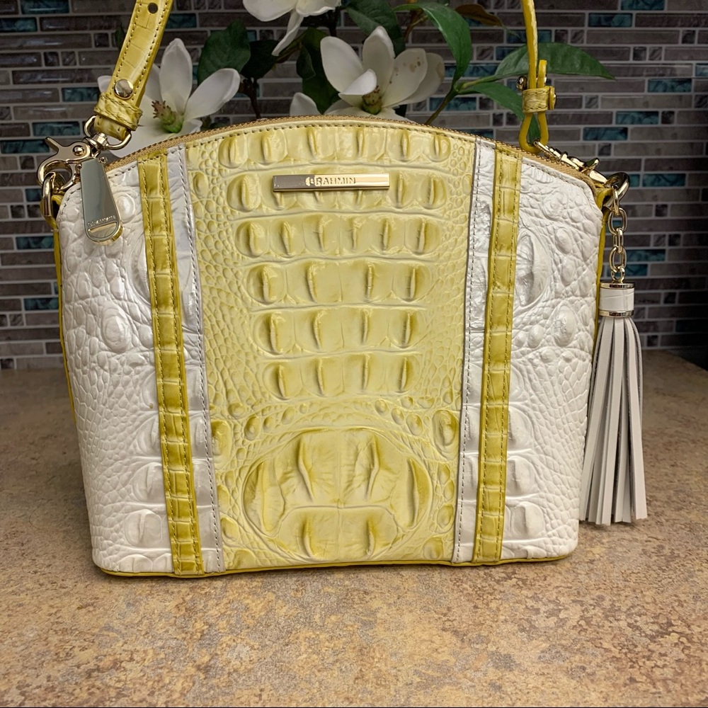 Brahmin Crossbody_2